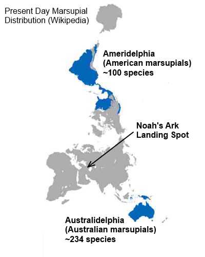 Marupial Distribution